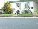 ollied gap by skate or die