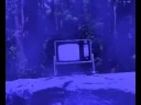 TV Dream
