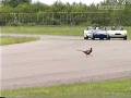 videos de Dave Devine hits pheasant Ginettas at Thruxton 2005