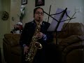 HAVE YOURSELF A MERRY LITTLE CHRISTMAS ON SAXOPHONE