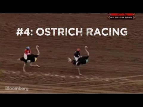 Five of the World's Most Bizarre Competitions