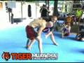 6x UFC vet Alan Belcher MMA Seminar Tiger Muay Thai Phuket Thailand - Part 1