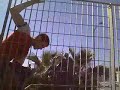 spiderman tutt o funnu
