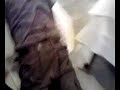 Jimenez haciendo el gusano - pinturas barcia Jimenez haciendo el gusano - pinturas barcia