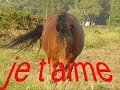 falbala