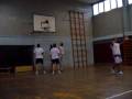 Penz 2006