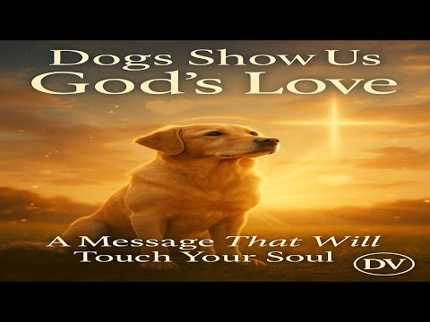 What a Dog’s Heart Teaches Us About God: A Divine Message Hidden in Fur ...