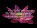 Fatiha Süresi Arapca - Kürtce - Surah Al - Fatiha Arabic - Kurdish Translation Fatiha Süresi Arapca - Kürtce - Surah Al - Fatiha Arabic - Kurdish Translation