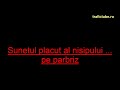 Sunetul placut al nisipului pe parbriz