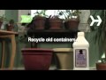 How-To-Repot-a-Plant