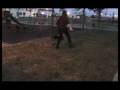 videos de Adelina dog runner