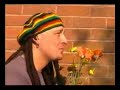 Hair Shaven Britney Spears Does Reggae \