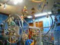 Our Bird Room