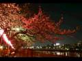 ジプシーキングス/ファエナ Gipsy Kings / Faena
