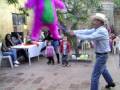 videos de partys Alamos 330