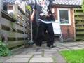 Cwalk.nl - Lil 'Wawa - Good Memories
