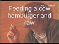 Nirvana - Beeswax w/Lyrics
