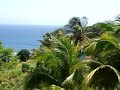 Dominica's Sea View Apartments in Dominica
