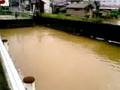浅野川動画3