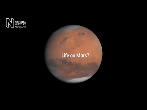 Could life have formed on Mars?
