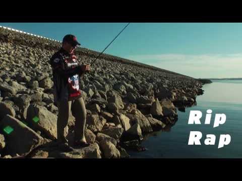 how to locate bass