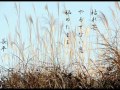 秘恋~松五郎の恋~坂本冬実 cover