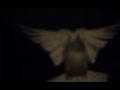 White dove