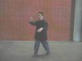 Yang Style Taiji: LaoLiuLu Demo by Master Guo ZhengXun