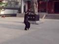 chen ziqiang lao jia yilu