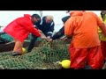 Malvinas: intereses pesqueros