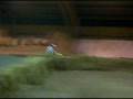 videos de Team Makita Suzuki Yellow Magic