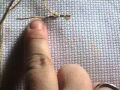 Ver Video