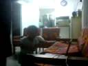 2 year old boy dancing to ST12 - Puspa