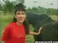 Search Video