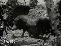 Bali, The Island Paradise 1932