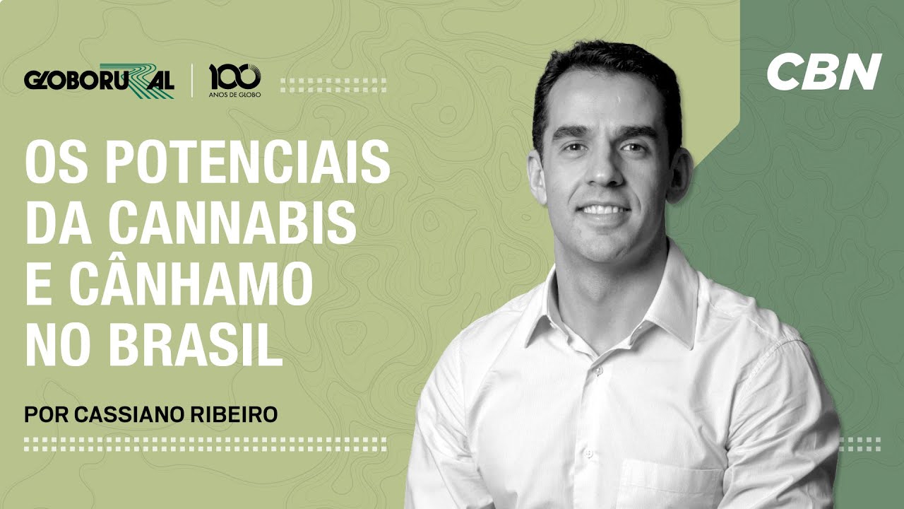 Os potenciais da cannabis e cânhamo no Brasil | CBN Agro