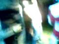 videos de Lucas Flogger