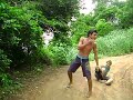 V de Vingança V de Vingança