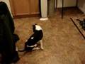 Yuna chasing her arch nemesis!!!