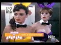 A Bunny's Tale