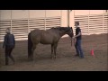 Raising Your Showmanship Score :Completing & Evaluating a Showmanship Pattern, provided by eXtension