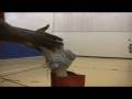 marlo alleva's workouts