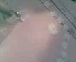 videos de haha lol jean