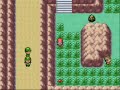 Pokémon Heroes 30