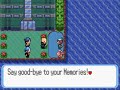 Pokémon Heroes 30