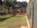 videos de Jeremy Peterson SBCC Baseball