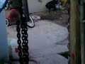 pit-bulls fight