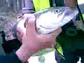 Truchon del kevin