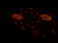 videos de Midwest FurFest 