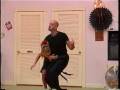 Comedy Tango: No Holds Barred